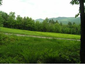 5785 Mountain Road, Unit 11A Stowe, VT 05672 - Photo 2 of 12