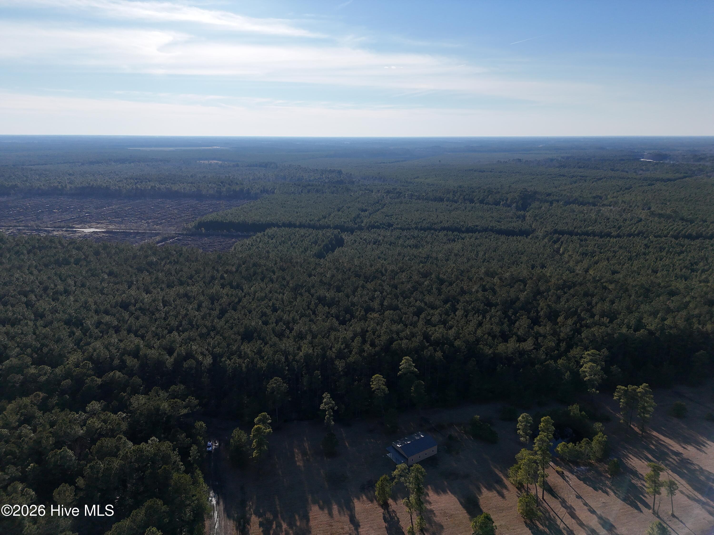 40-acres Haw Branch Road Beulaville, NC 28518 - Photo 5 of 10 dji_fly_20260214_161254_0153_17711038456