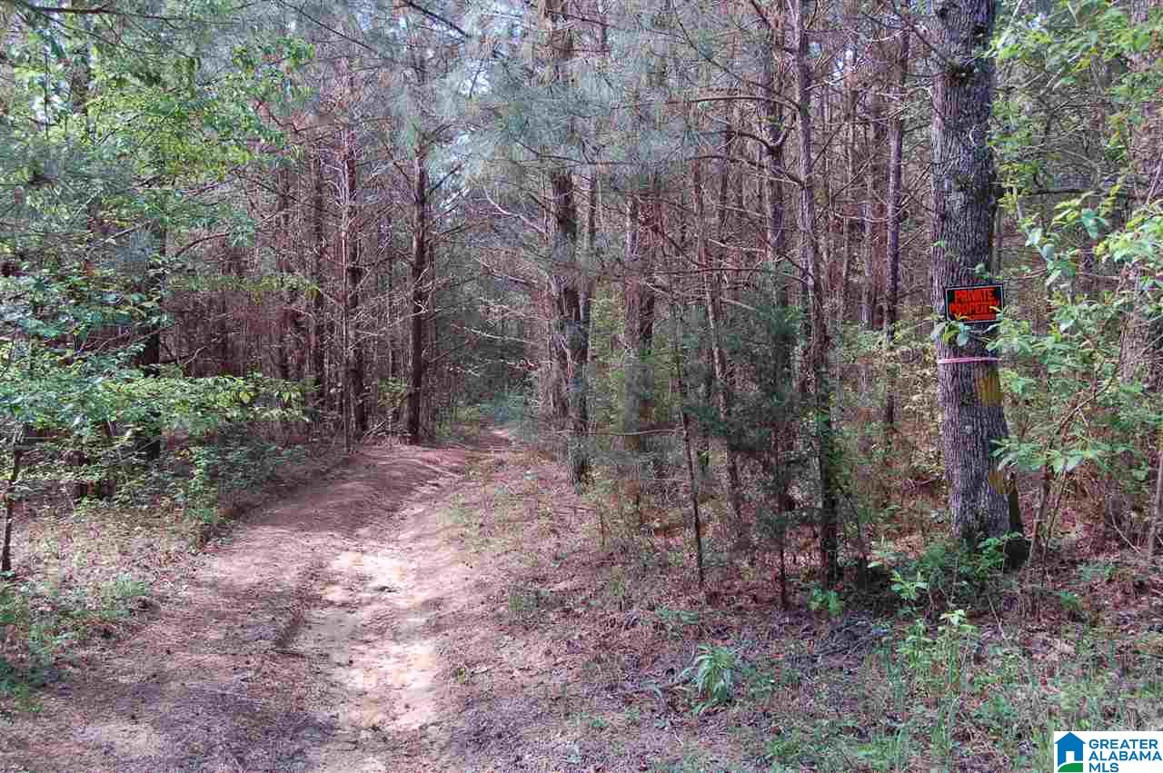 C C Road, Unit 40 00 Vinemont, AL 35179 - Photo 12 of 12