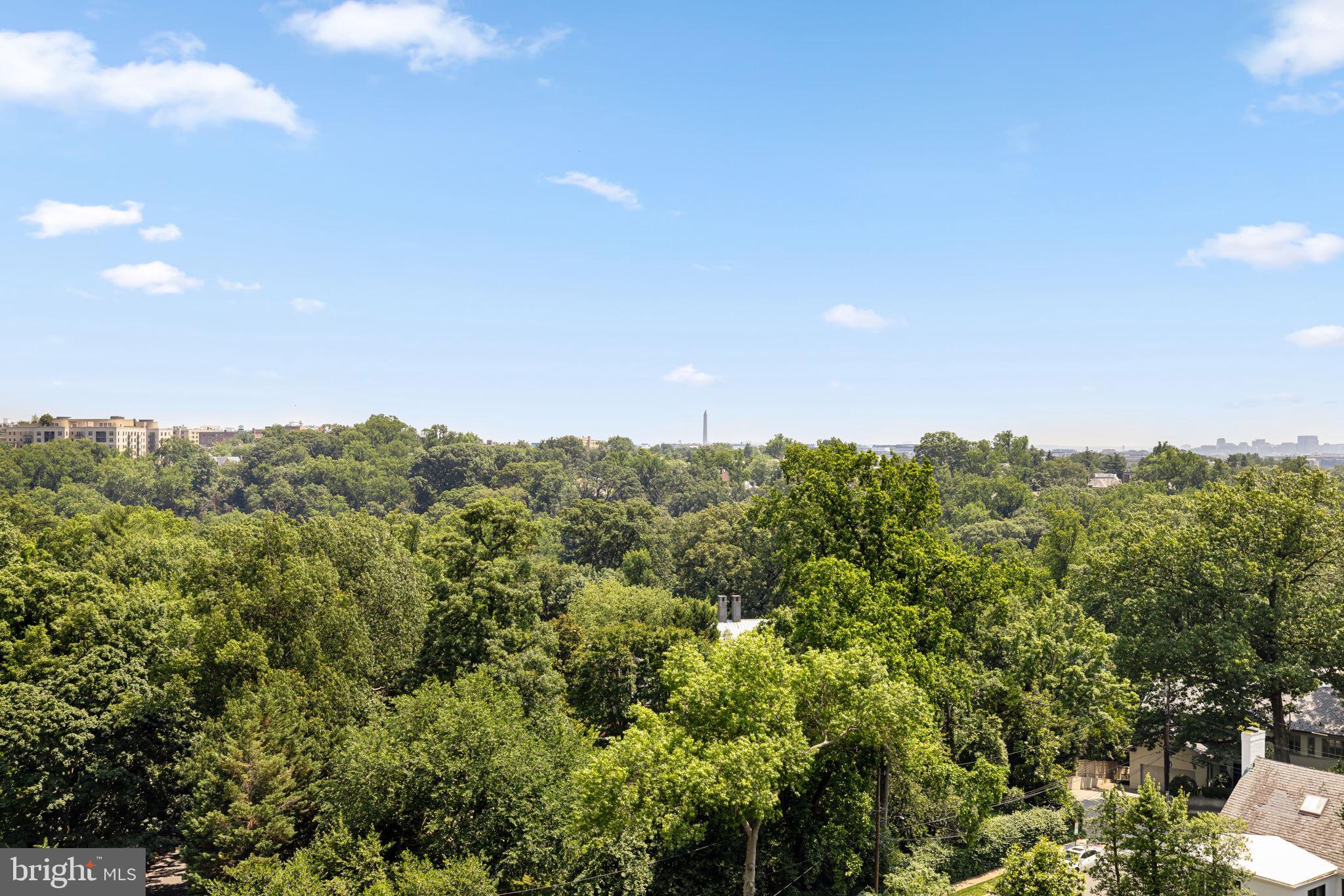 2700 Calvert Street Northwest, Unit 817 Washington, DC 20008 - Photo 57 of 64 a view of a bunch of trees in a field