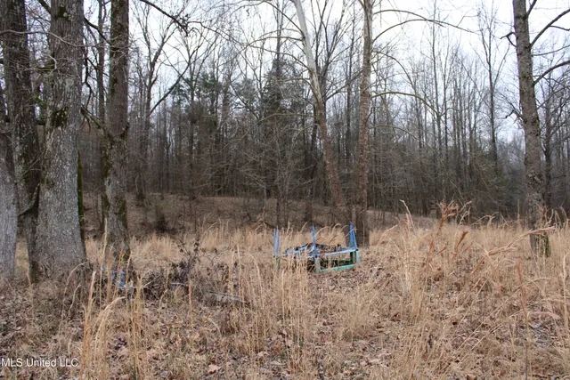 $168,900 | 2843 Prichard Road, Coldwater, MS 38618