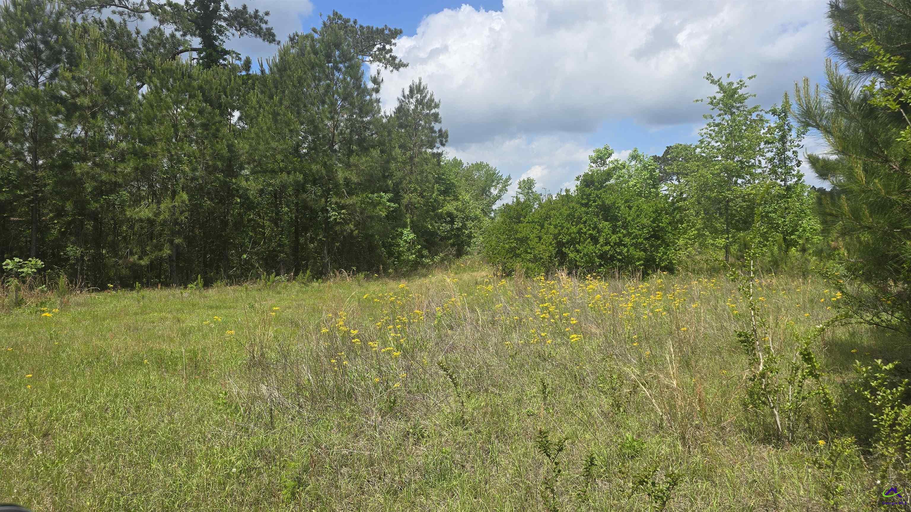 0 South S Highway Dublin, GA 31021 - Photo 6 of 13 a view of a lake view