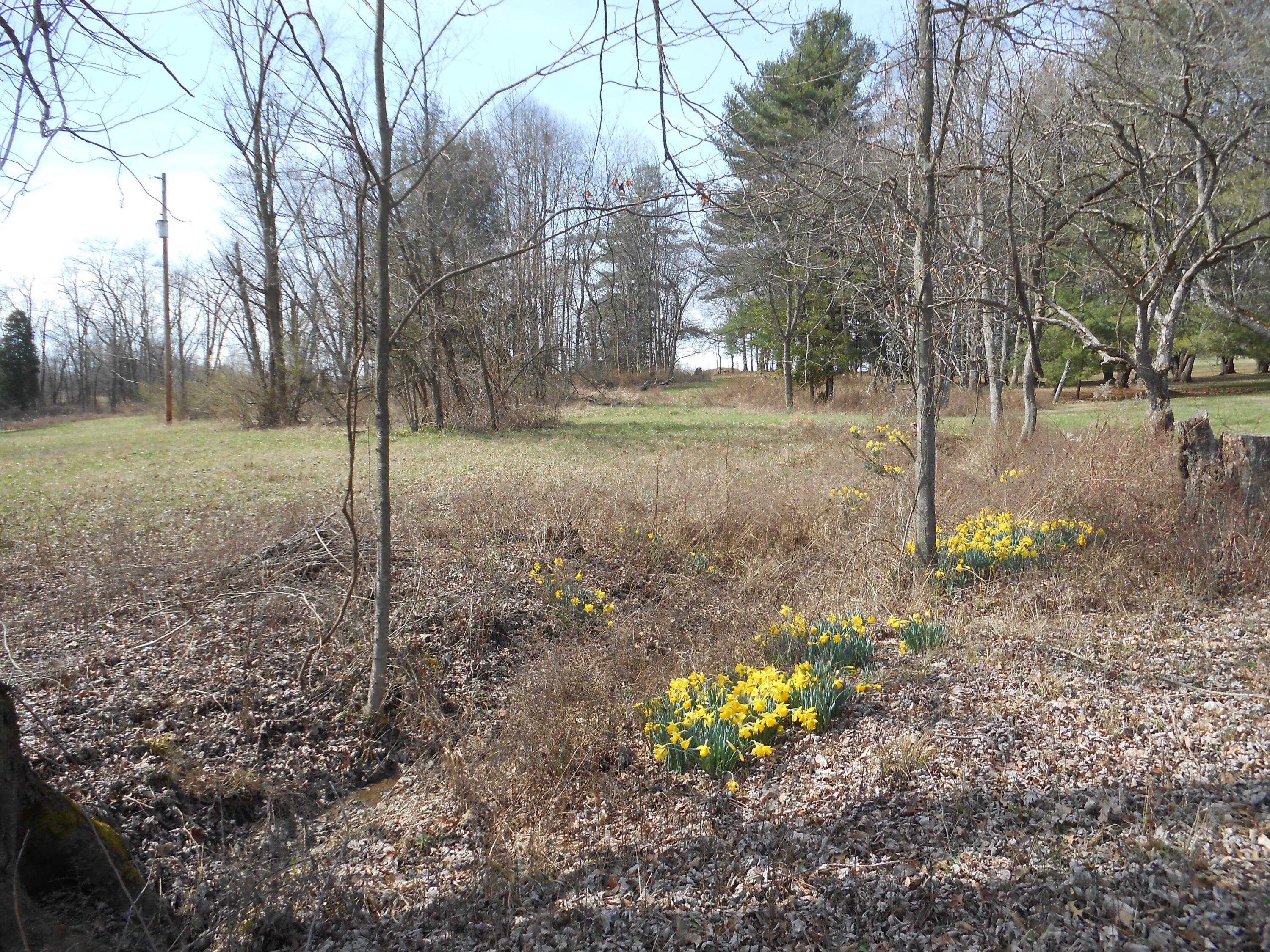 6570 Lancaster Road Hebron, OH 43025 - Photo 5 of 25 DSCN9839