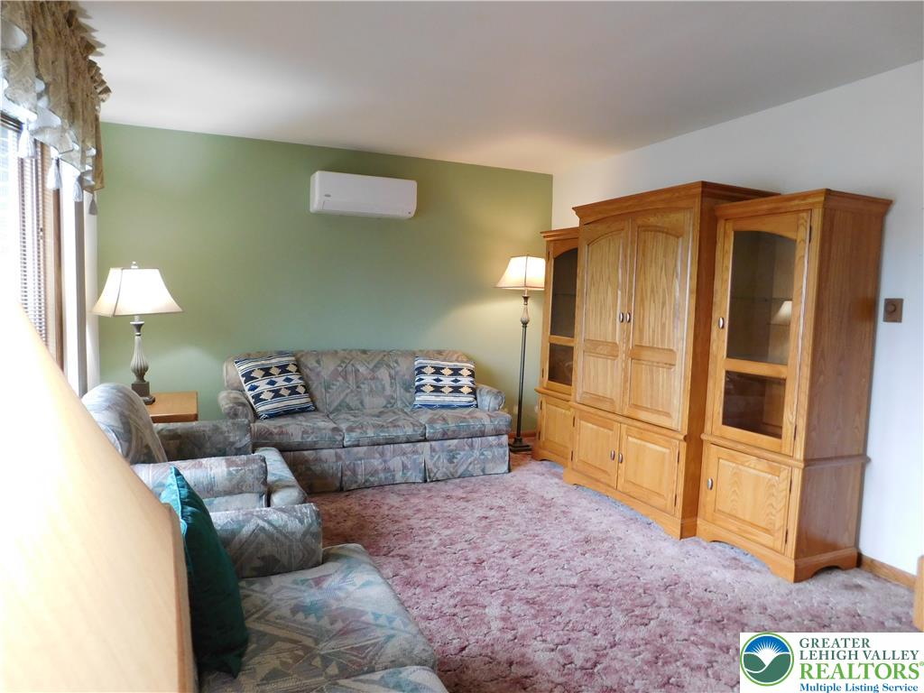21 Will Barnesville, PA 18214 - Photo 4 of 23 A versatile living area features plush carpeting and efficient wall-mounted cooling for comfort.