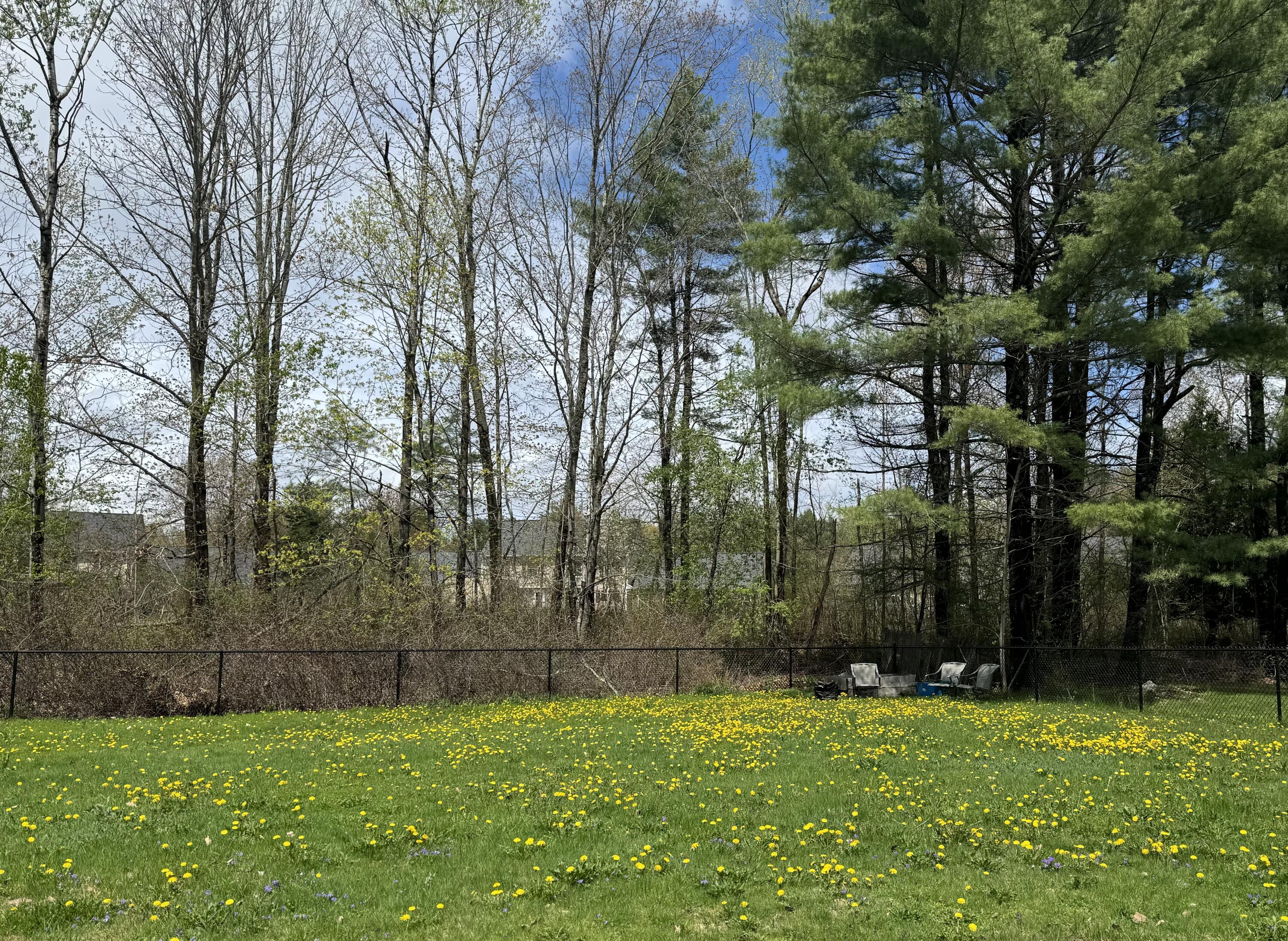 72 Pride Street Westbrook, ME 04092 - Photo 40 of 45 72 Pride backyard