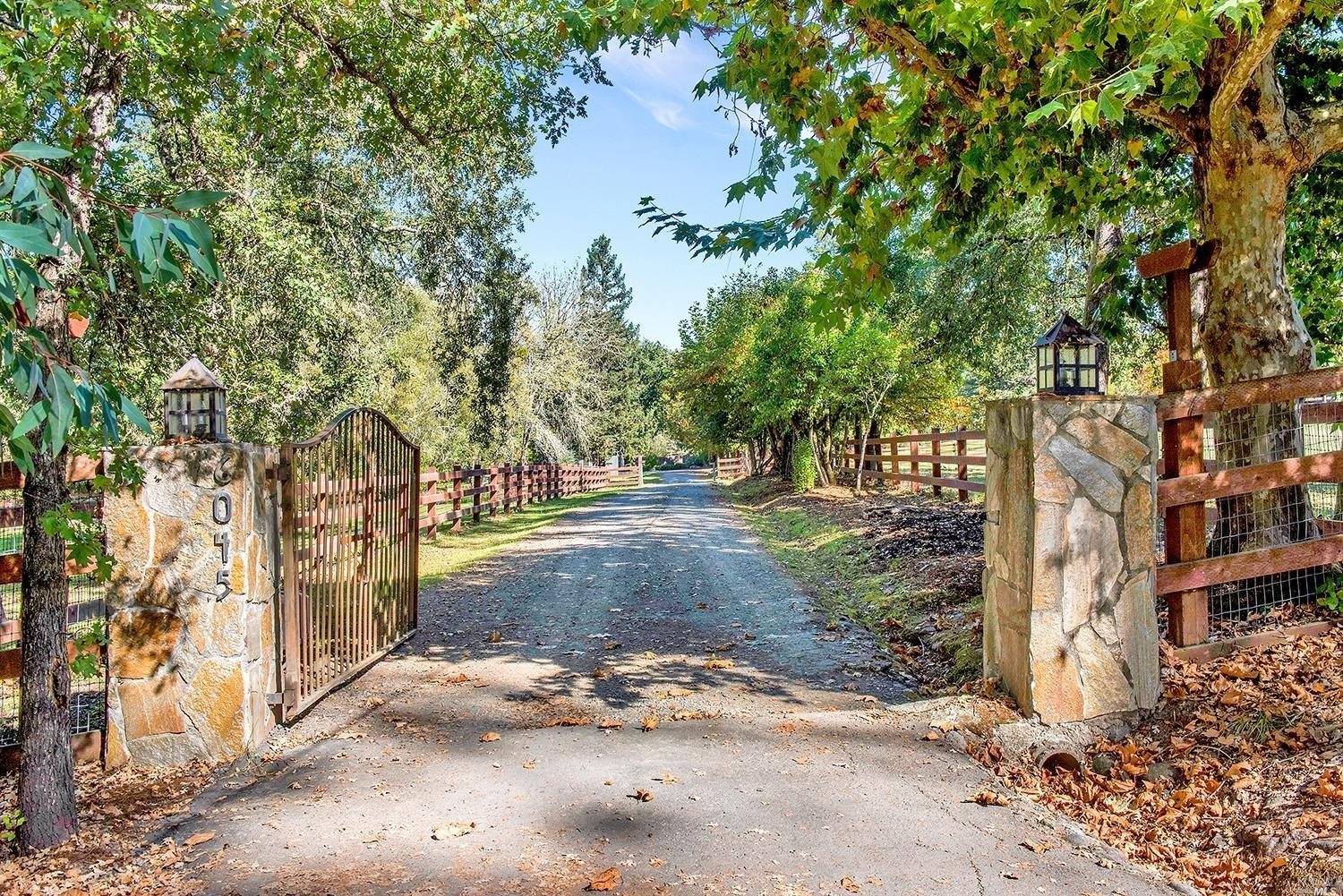 a view of a yard with an trees