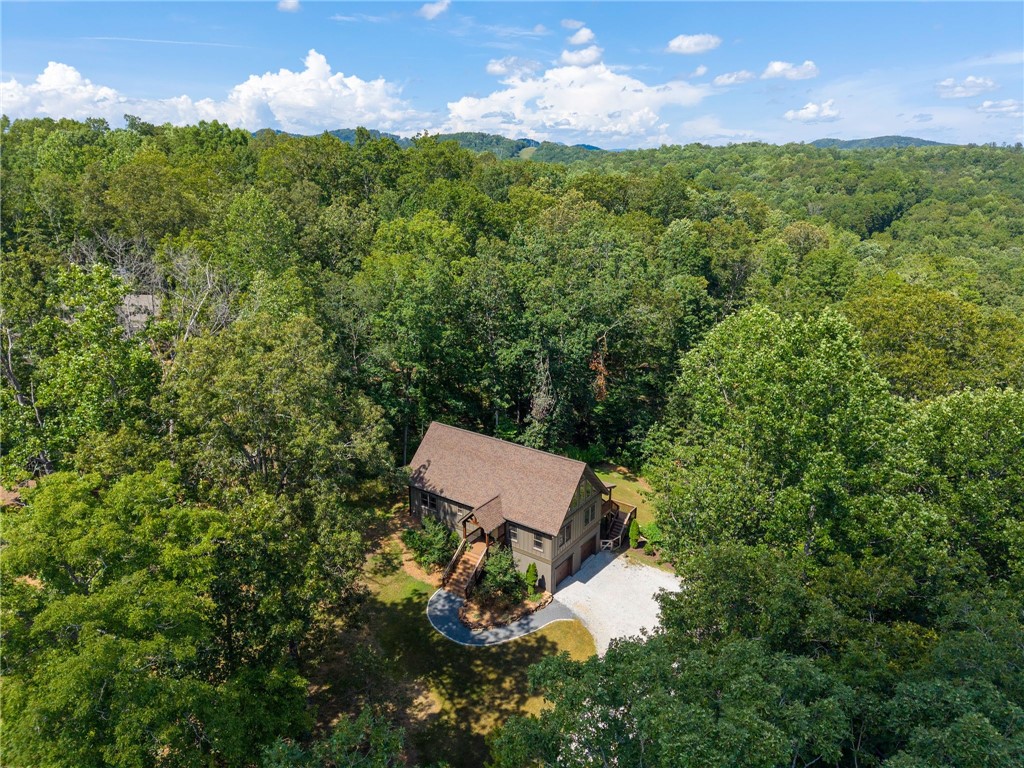 711 Scharlin Drive Pickens, SC 29671 - Photo 41 of 50 Private & Serene Locale Extra Parcel Available
