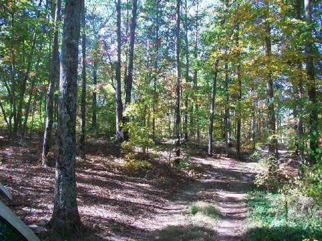 199 Oak Ridge Trail White, GA 30184 - Photo 1 of 1 Gallery Image 1