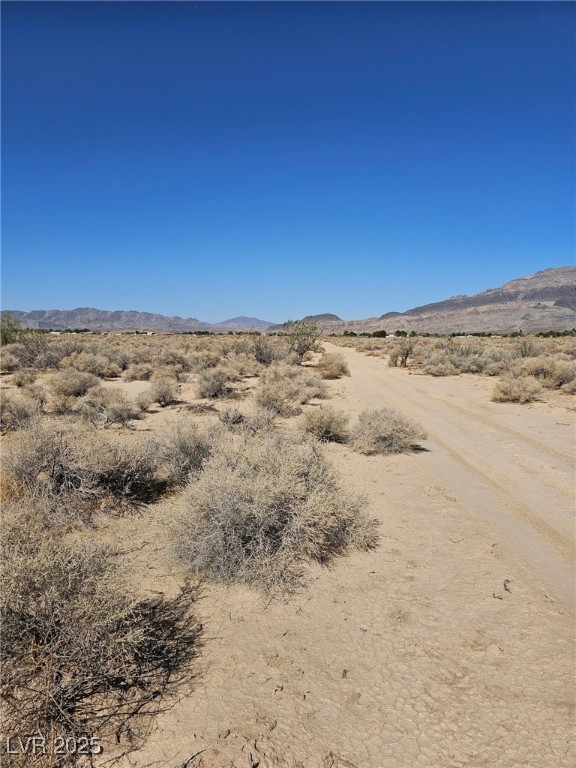 1061 Nye Road Pahrump, NV 89060 - Photo 5 of 6