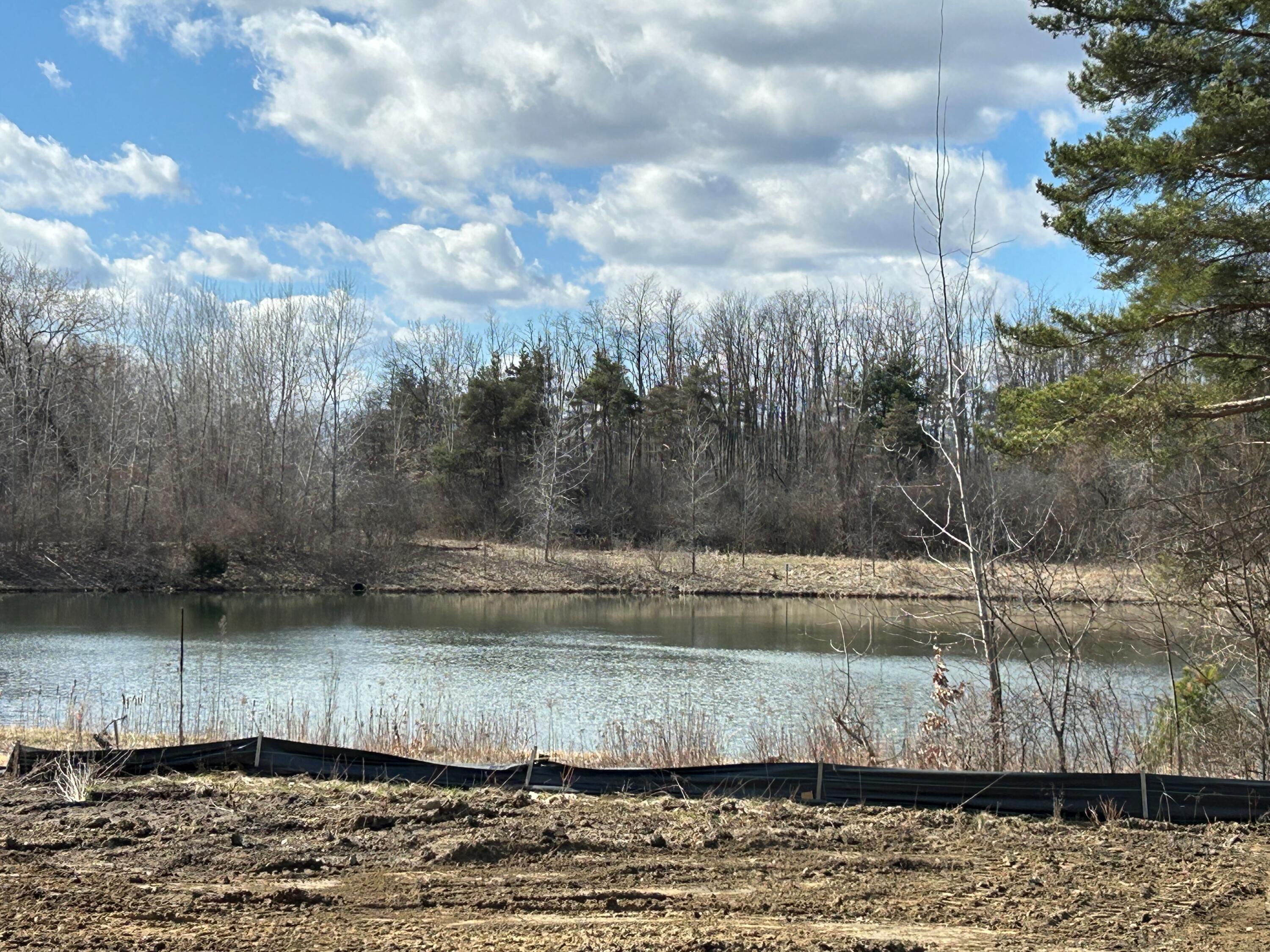 2924 Sheridan Circle, Unit 57 Jackson, MI 49201 - Photo 27 of 27 PMP 57 rear yard view of pond
