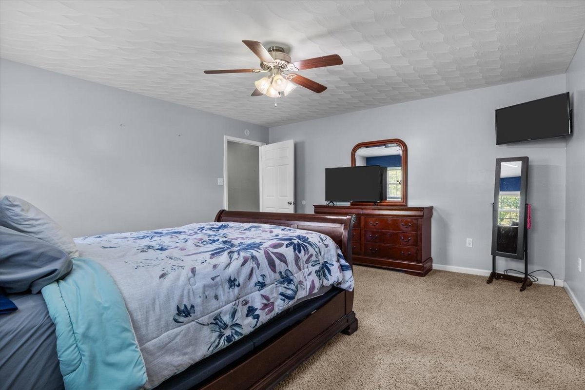 109 Bessie Clark Road Erin, TN 37061 - Photo 19 of 43 a bedroom with a bed and a television