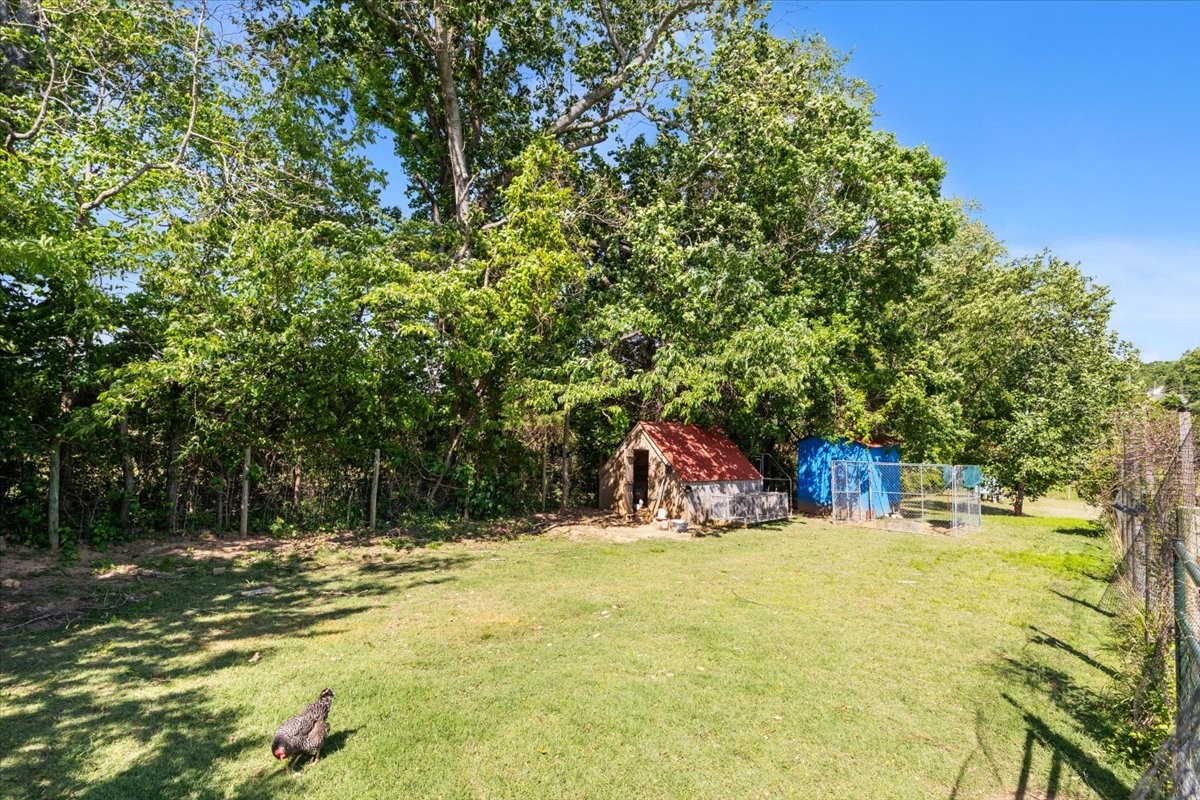 109 Bessie Clark Road Erin, TN 37061 - Photo 42 of 43 a view of a house with a yard