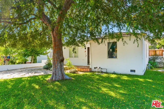 a view of a yard with plants and large trees