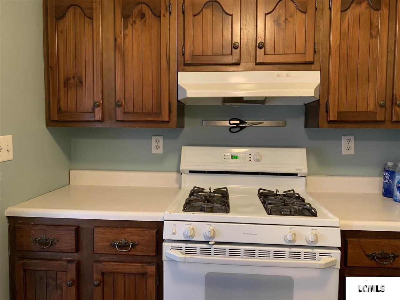 702 Decatur Street Lincoln, IL 62656 - Photo 8 of 20 Gallery Image 8