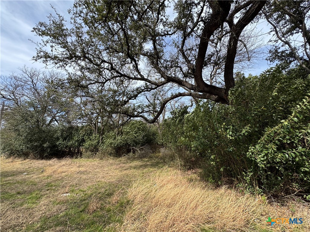 Tbd Arrowhead Point Road Belton, TX 76513 - Photo 3 of 13 a view of outdoor space and trees