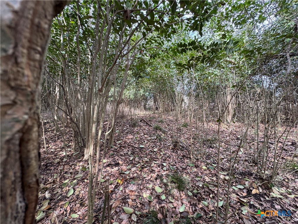 Tbd Arrowhead Point Road Belton, TX 76513 - Photo 5 of 13 a view of a yard with a tree
