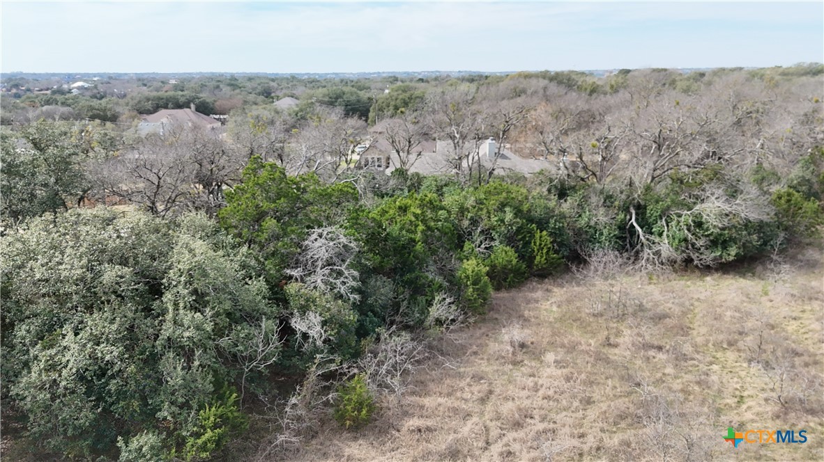 Tbd Arrowhead Point Road Belton, TX 76513 - Photo 10 of 13 an aerial view of forest