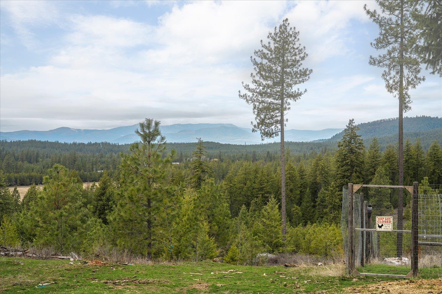 3977B Gardenspot Road Loon Lake, WA 99148 - Photo 25 of 43 Gallery Image 25