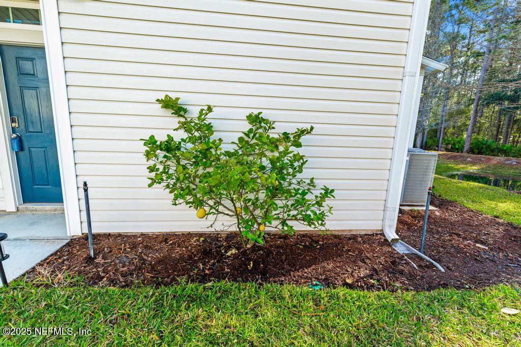 102 San Briso Way St. Augustine, FL 32092 - Photo 6 of 62 a plant that is in front of a house