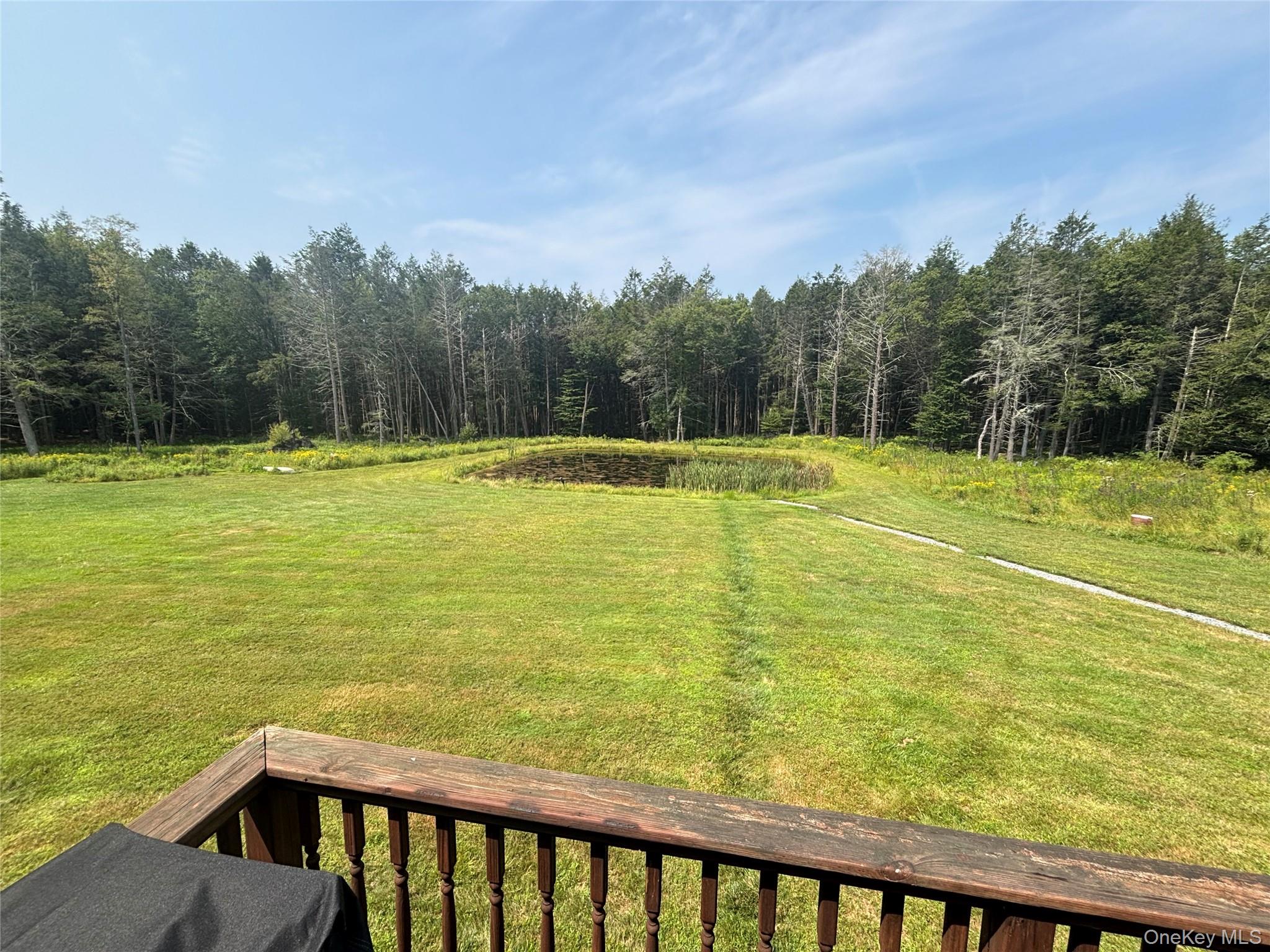 595 Hurd And Parks Road Swan Lake, NY 12783 - Photo 27 of 43 View of grassy yard with a view of trees
