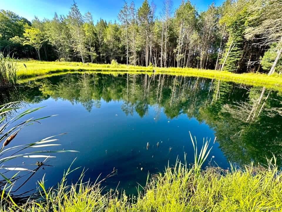 595 Hurd And Parks Road Swan Lake, NY 12783 - Photo 5 of 43