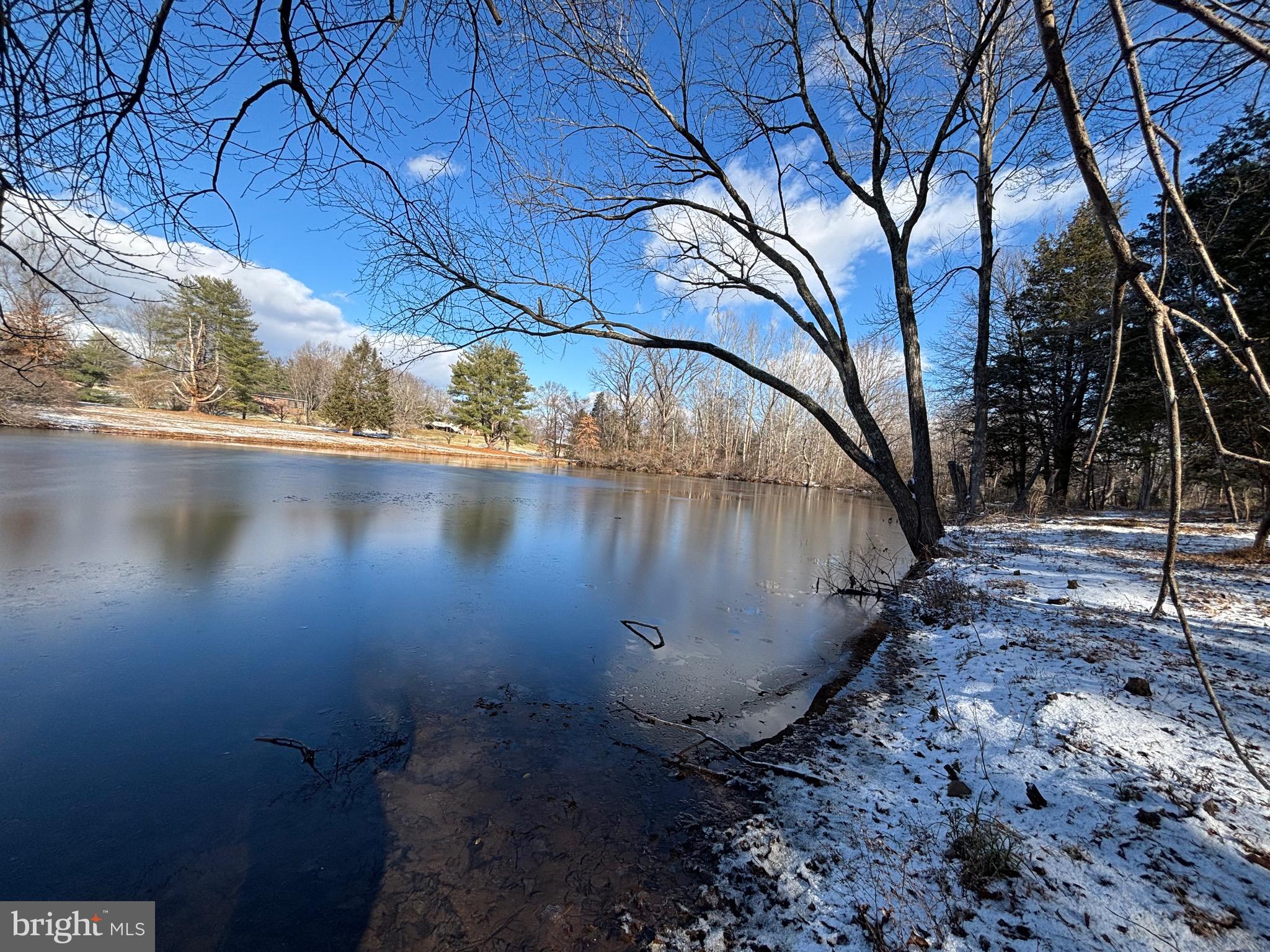 a view of a backyard of the house