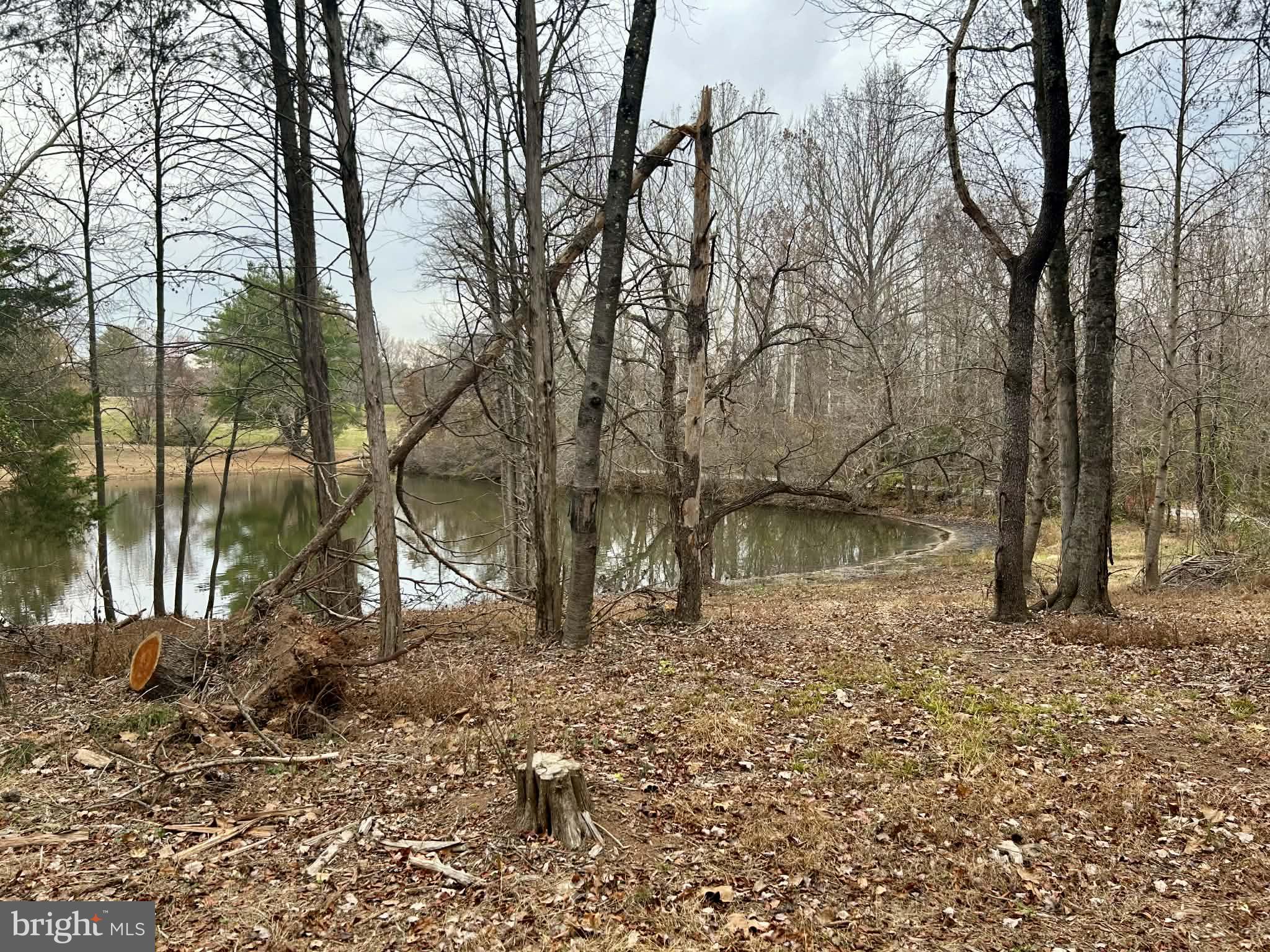 0 McAlexander Road Orange, VA 22960 - Photo 13 of 15 a backyard of a house with lots of green space