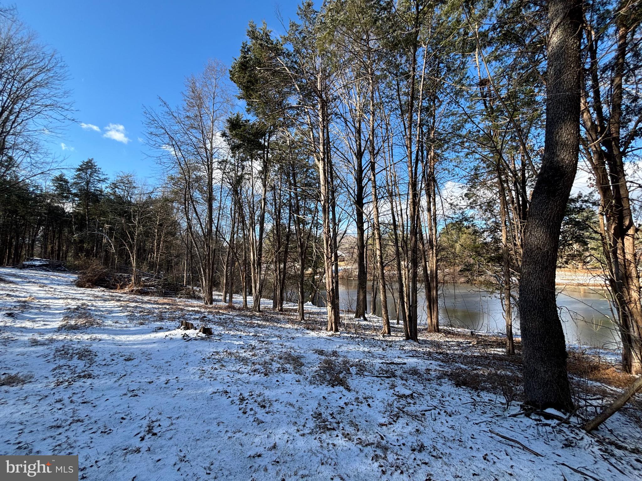 0 McAlexander Road Orange, VA 22960 - Photo 4 of 15 a view of outdoor space with trees