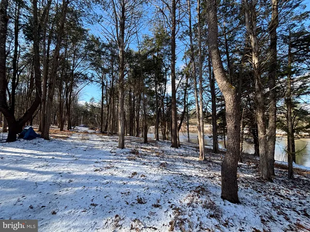 a view of open space with trees