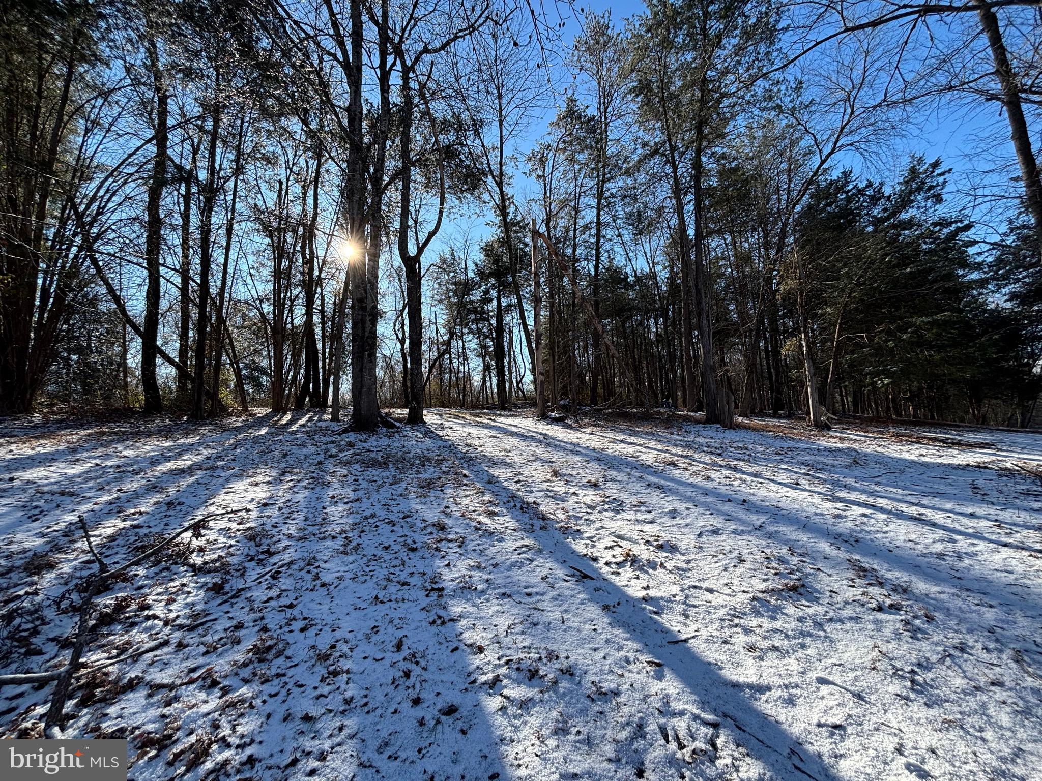 0 McAlexander Road Orange, VA 22960 - Photo 6 of 15 a view of backyard with large trees
