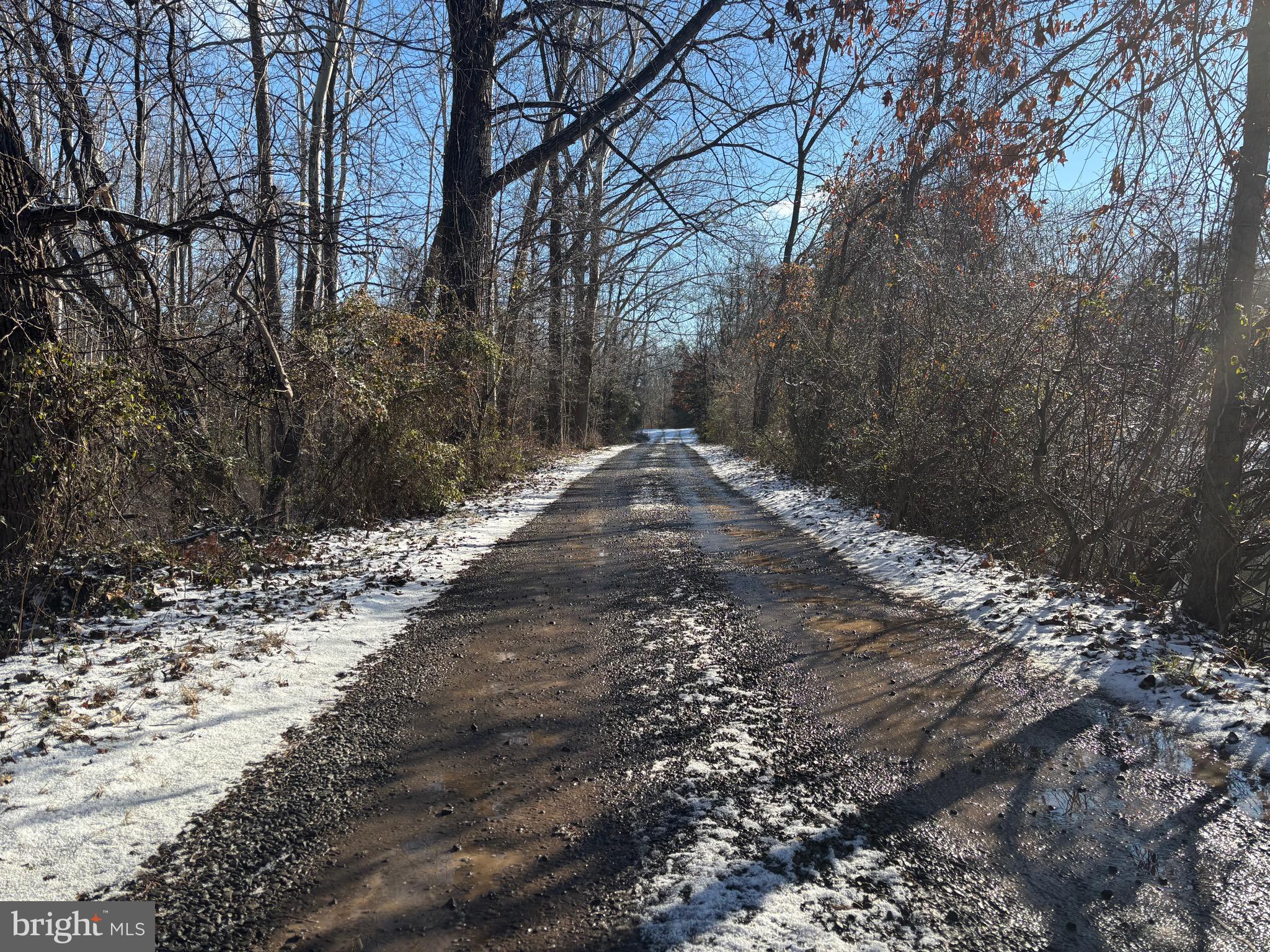 0 McAlexander Road Orange, VA 22960 - Photo 8 of 15