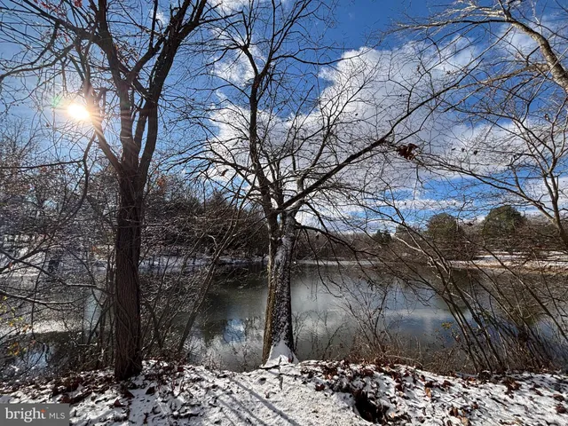 a view of a yard with trees