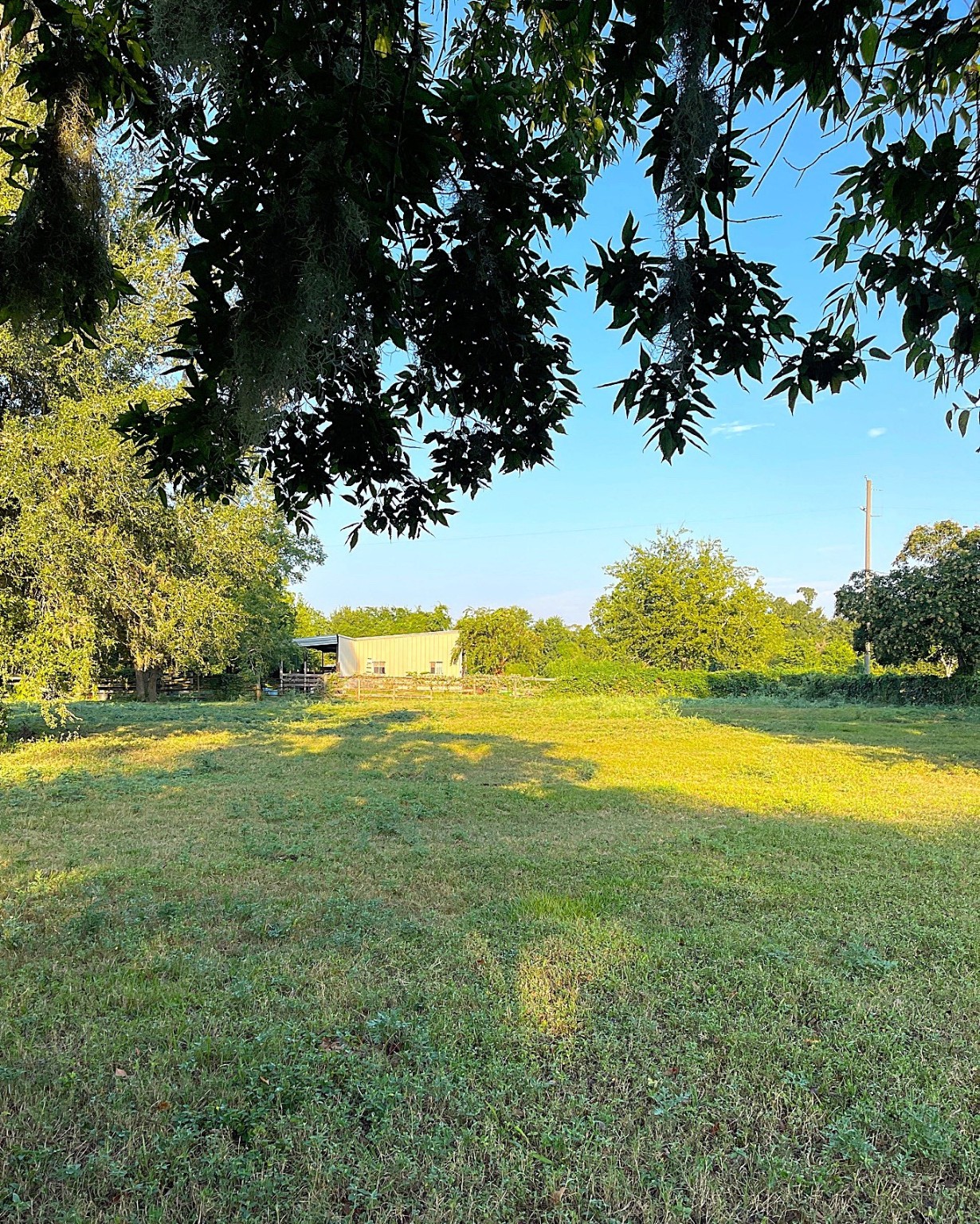 a view of an ocean and beach