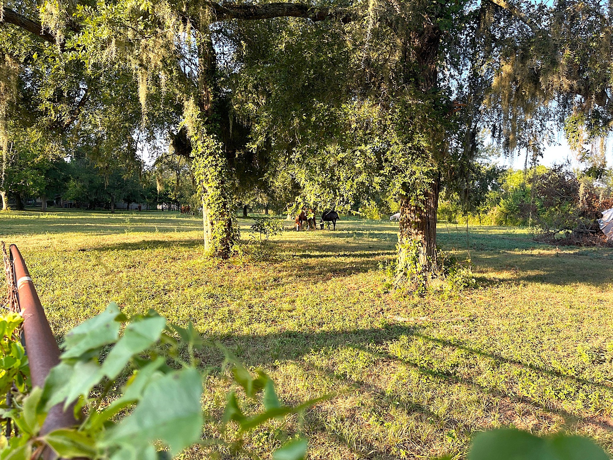 0 Hackamore Road Wallis, TX 77485 - Photo 12 of 12 a view of an ocean beach