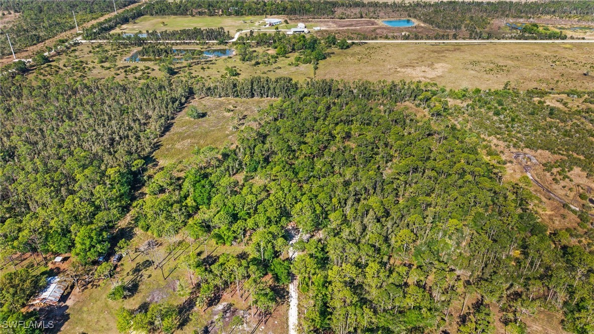 15841 Rasmussen Road Punta Gorda, FL 33982 - Photo 13 of 25 a view of outdoor space and trees