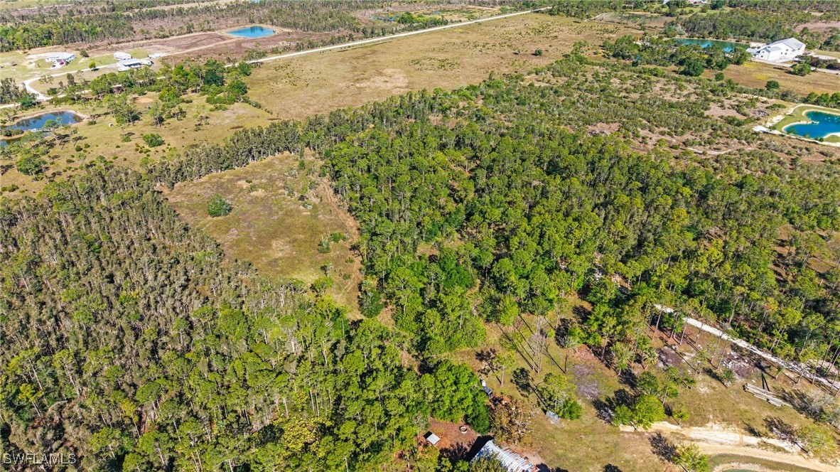 15841 Rasmussen Road Punta Gorda, FL 33982 - Photo 18 of 25 a view of a yard with a tree