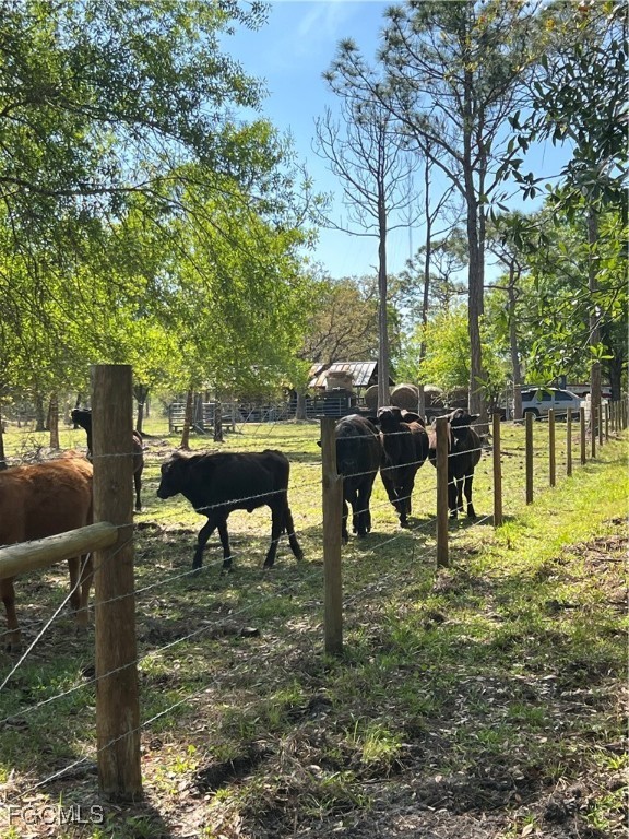 15841 Rasmussen Road Punta Gorda, FL 33982 - Photo 23 of 25 a view of a lake with table and chairs