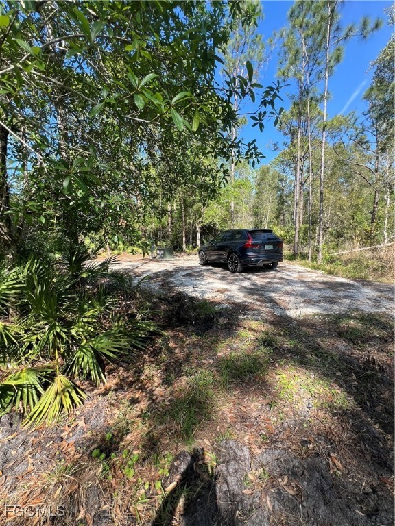 15841 Rasmussen Road Punta Gorda, FL 33982 - Photo 24 of 25 a view of a yard with some trees