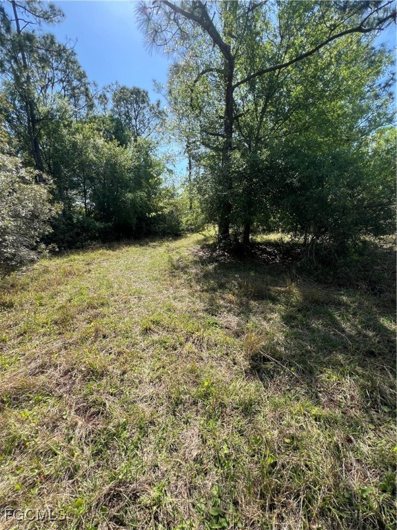 15841 Rasmussen Road Punta Gorda, FL 33982 - Photo 4 of 25 a view of a yard with trees