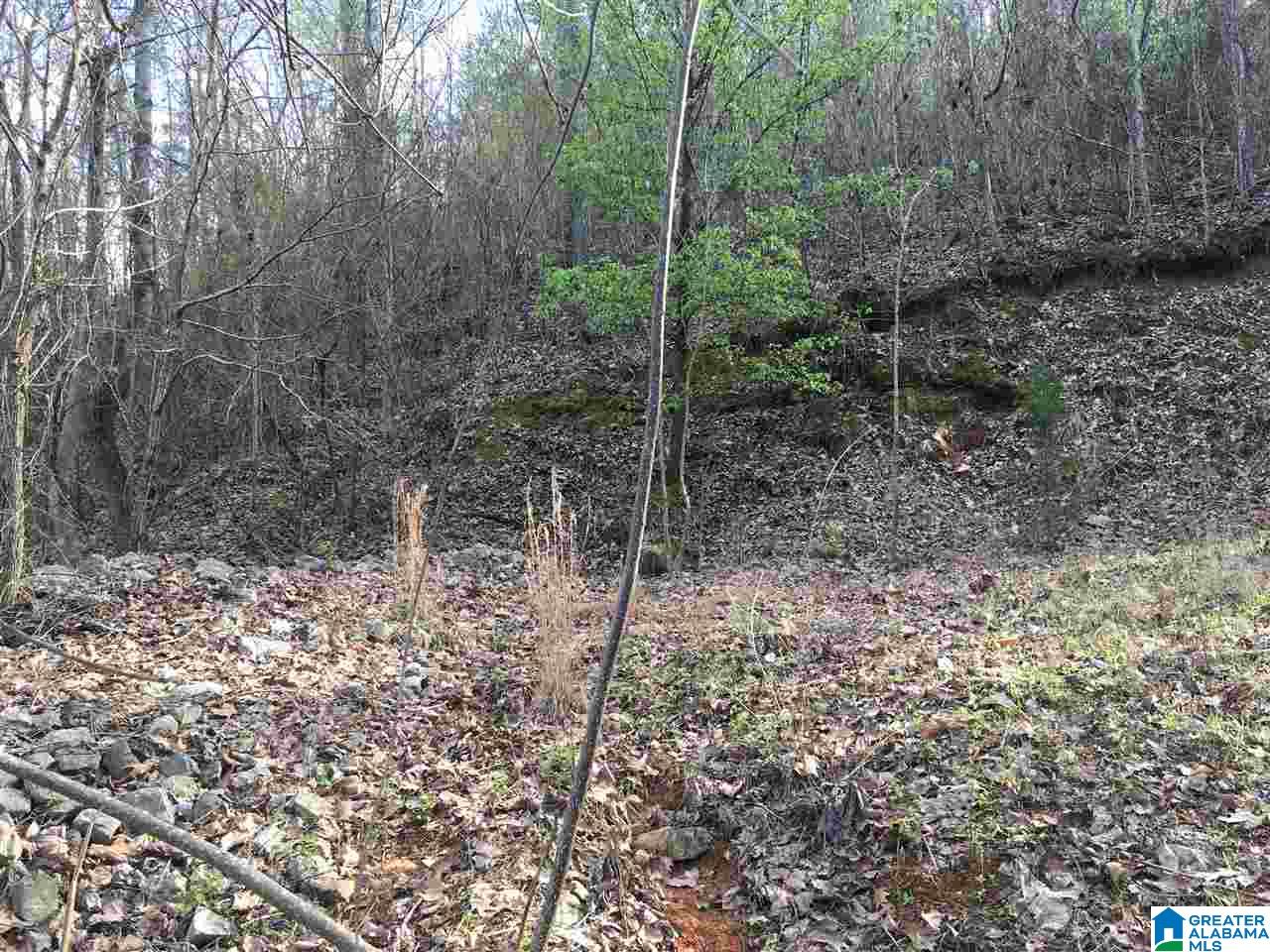230 County Line Road Oxford, AL 36203 - Photo 17 of 50