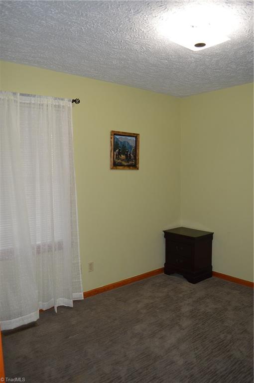267 Bluemont Road Mount Airy, NC 27030 - Photo 19 of 29 Gallery Image 19