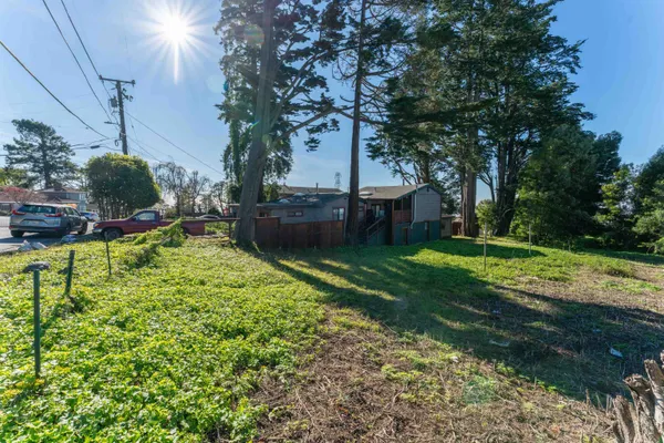 a backyard of a house with table and chairs plants and large trees