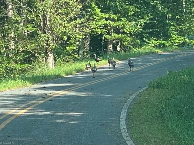 $175,000 | Xx Gilley Road, Unit 20 63 ACRES, Pilot Mountain, NC 27041