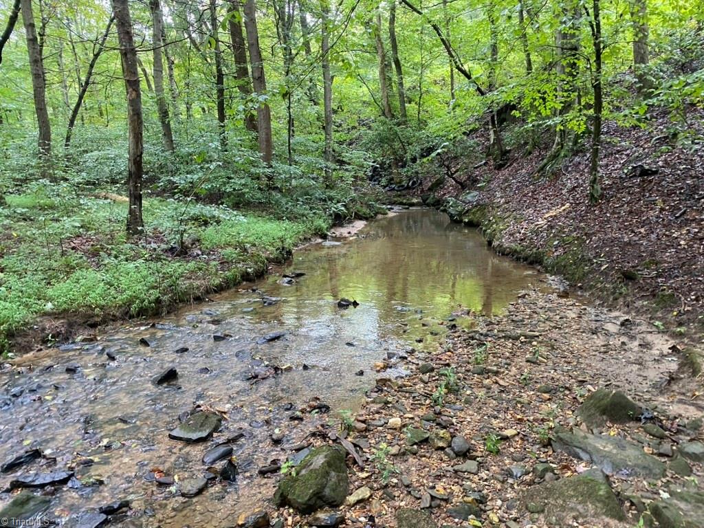 Xx Gilley Road, Unit 20 63 ACRES Pilot Mountain, NC 27041 - Photo 2 of 15
