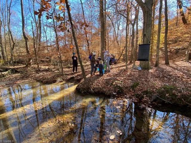 $175,000 | Xx Gilley Road, Unit 20 63 ACRES, Pilot Mountain, NC 27041