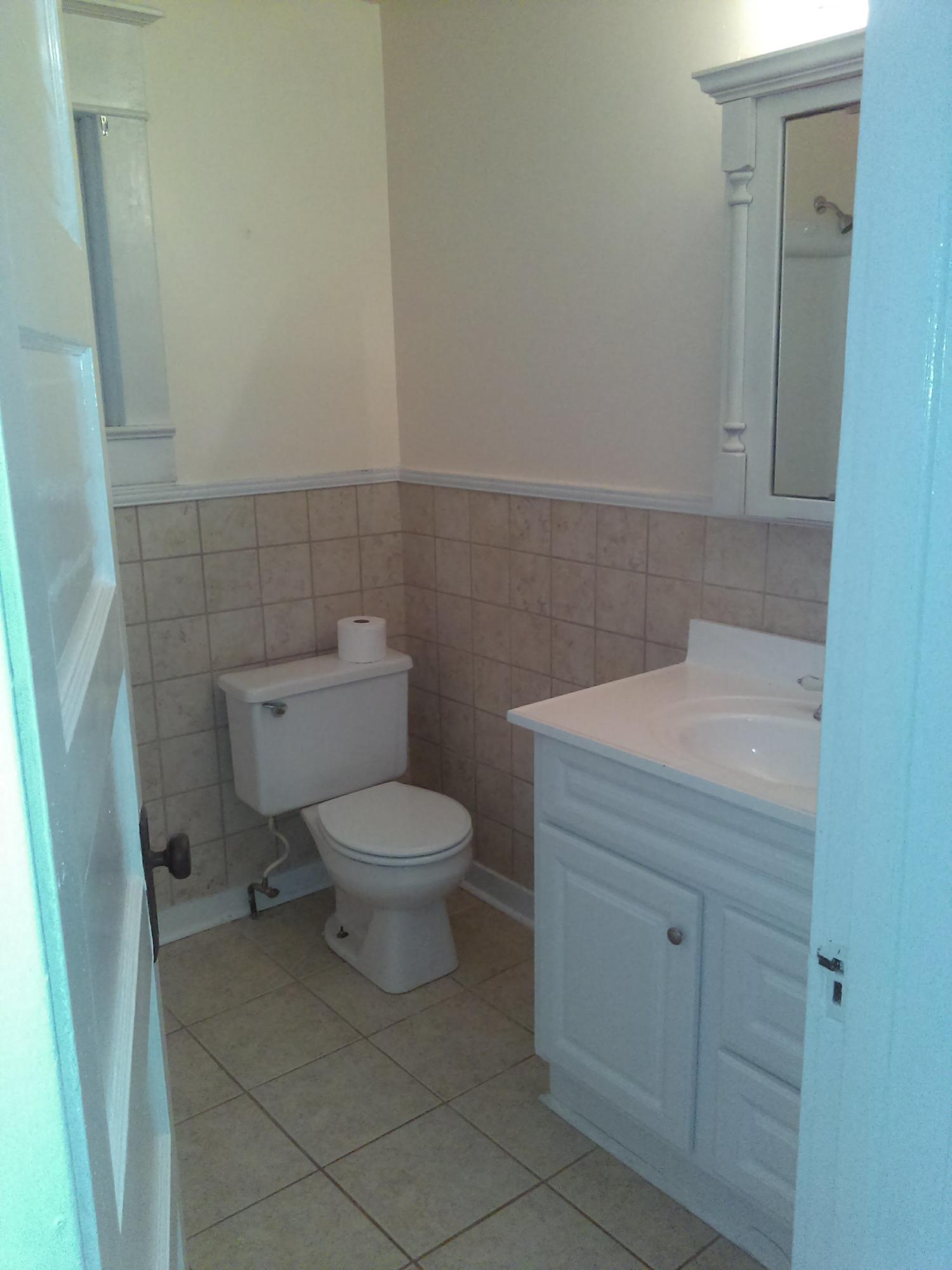 2802 Cove Road Roanoke, VA 24017 - Photo 4 of 12 Bathroom Pic 2