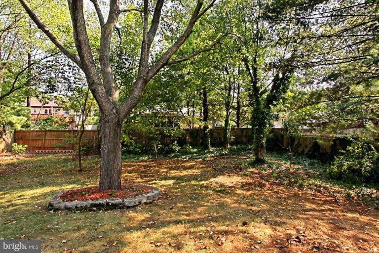 9903 Botsford Road Manassas, VA 20109 - Photo 17 of 20 Back yard