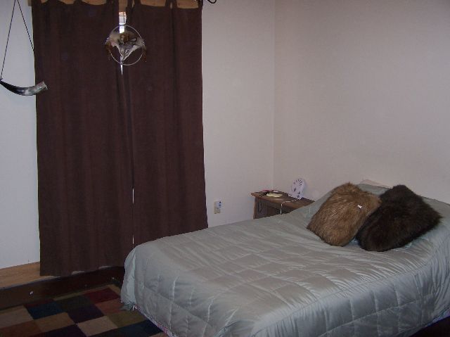 2287 West Hanover Road Hanover, IL 61041 - Photo 6 of 9 a bedroom with a bed and a wall painting