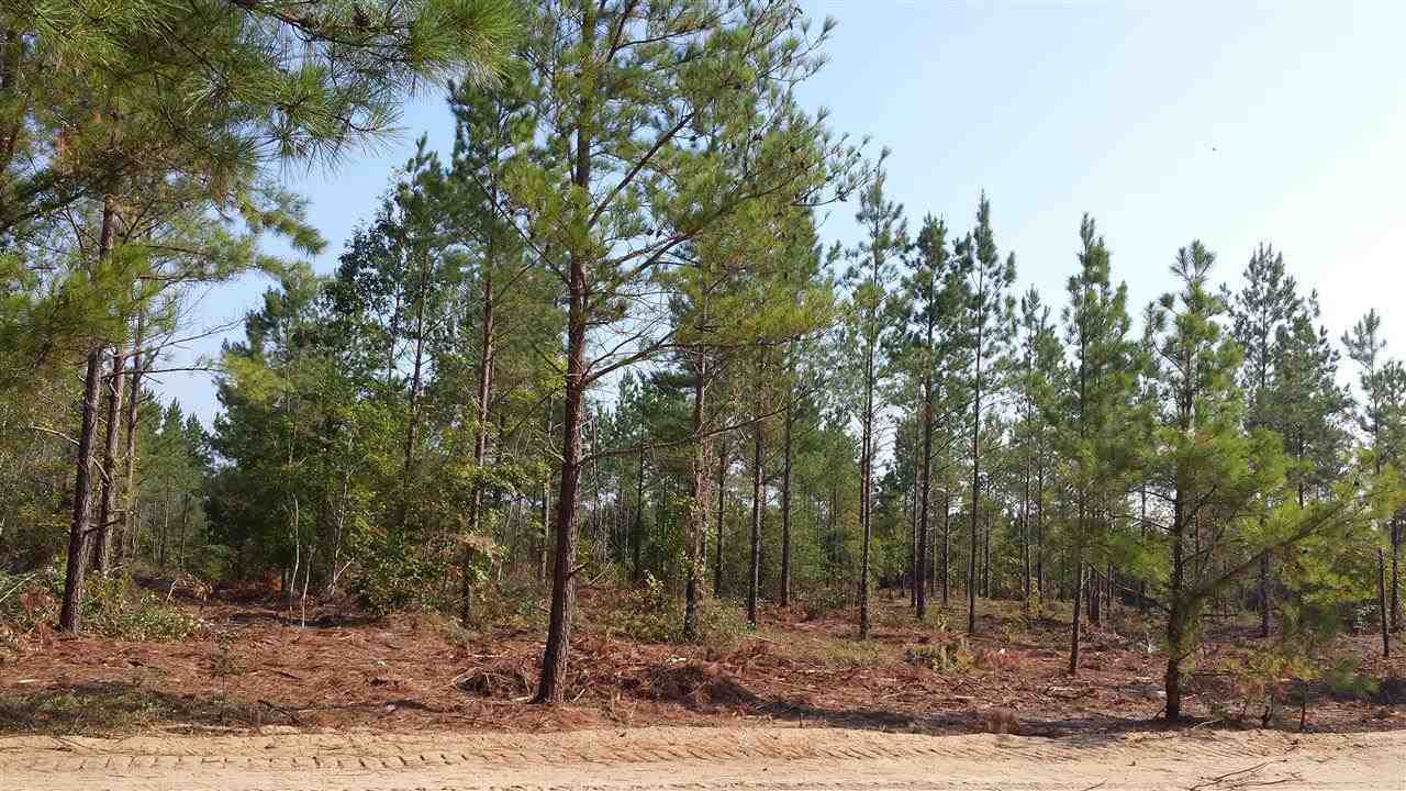 Lot 1 Bryant Road Cameron, NC 28326 - Photo 3 of 5 Additional Photo