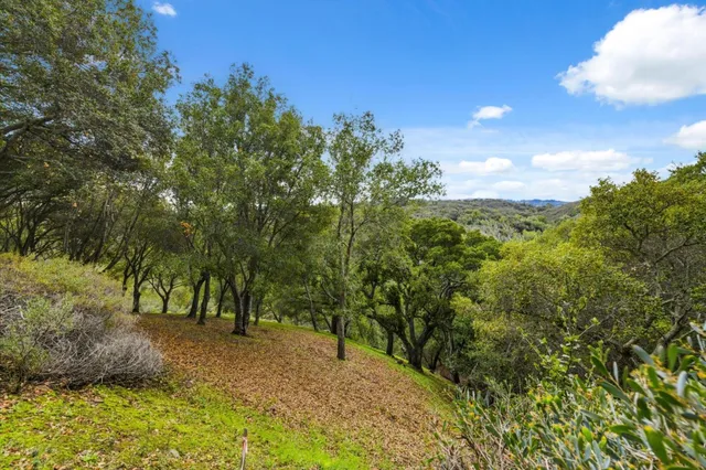 $749,000 | 3387 Brittan Avenue, Unit 2, San Carlos, CA 94070